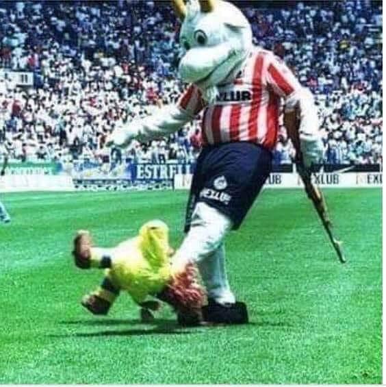¡Sáquese, pajarraco apestoso!