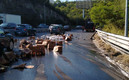 Un accidente donde la cerveza quedó disponible para ser robada, nadie lo hizo. (Foto: Telediario)