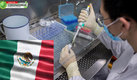 CanSino Biologics dará millones de vacunas contra el coronavirus a México. (AFP)
