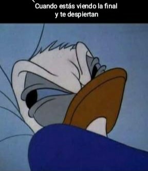 ¡Dejen dormir, carajo! La Final sí estuvo para echarse una pestañita.