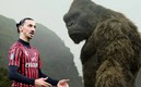 Zlatan Ibrahimovic ha despuntado con el AC Milan.