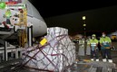 El primer lote de vacunas se espera para el miércoles al mediodía. FOTO: AFP.