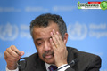 La OMS pide prudencia al momento del desconfinamiento. (AFP)