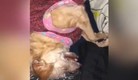 La perrita quedó en shock debido al fuerte estruendo de la pirotecnia. (Foto: captura de video @TlalpanVecinos)