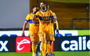 Gignac llegó a 144 goles con la playera de Tigres. (FOTO: Imago7)