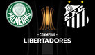 Palmeiras vs Santos, Final Libertadores (Google)