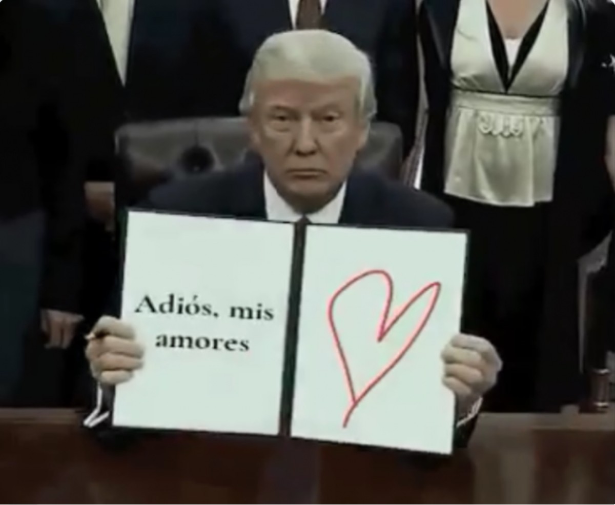 Los memes despiden a Trump y dan bienvenida a Joe Biden 9