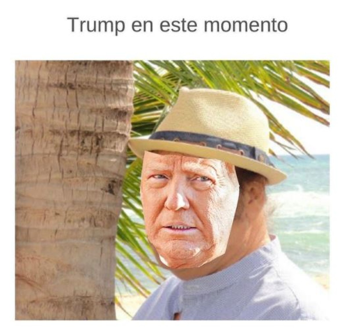 Los memes despiden a Trump y dan bienvenida a Joe Biden 1