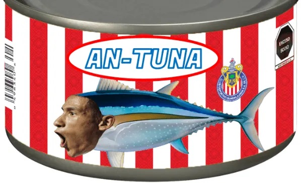 El Rebaño fue troleado por los usuarios en internet