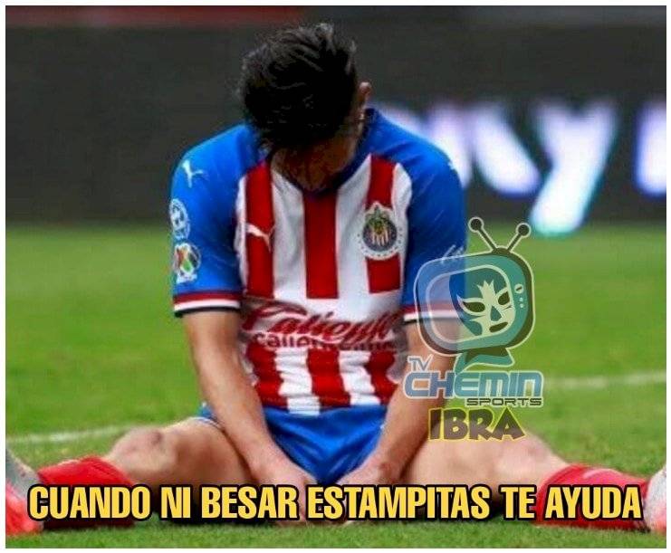 El Rebaño fue troleado por los usuarios en internet