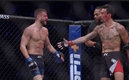Las acciones en la función de la UFC.