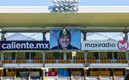 El Gran Pez no olvida al "Jefe" Maradona. Foto: @Dorados