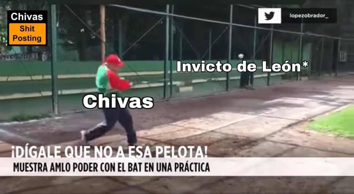 ¡Les pegan y acarician!