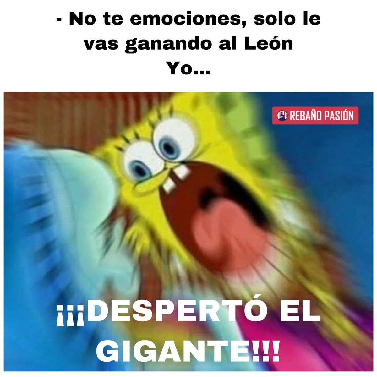 ¡Les pegan y acarician!