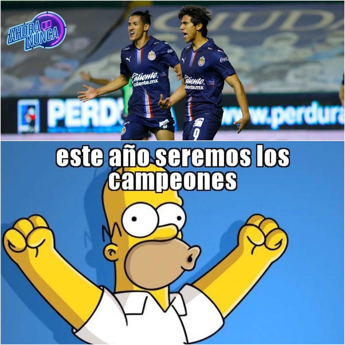 ¡Les pegan y acarician!