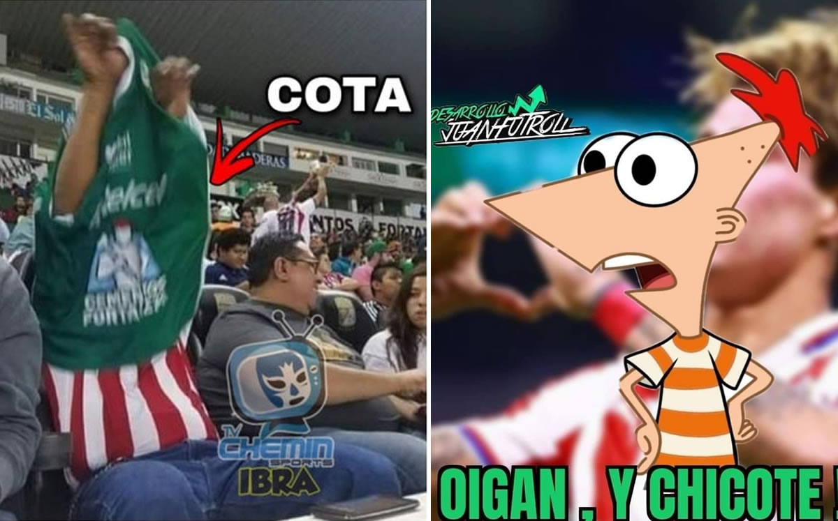 ¡Les pegan y acarician!