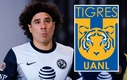 Paco Memo no se quiso quedar afuera de los festejos de Tigres en el Mundial de Clubes