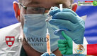 La Universidad de Harvard probará el tratamiento mexicano en más de 200 voluntarios. (AFP)