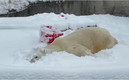 Blizzard disfrutó su mejor día con la nieve. (FOTO: captura)