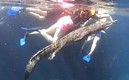 El cocodrilo nadó a lado de los turistas sin hacerles daño. (Foto: captura de video)