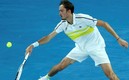 Medvedev en acción. (AFP)