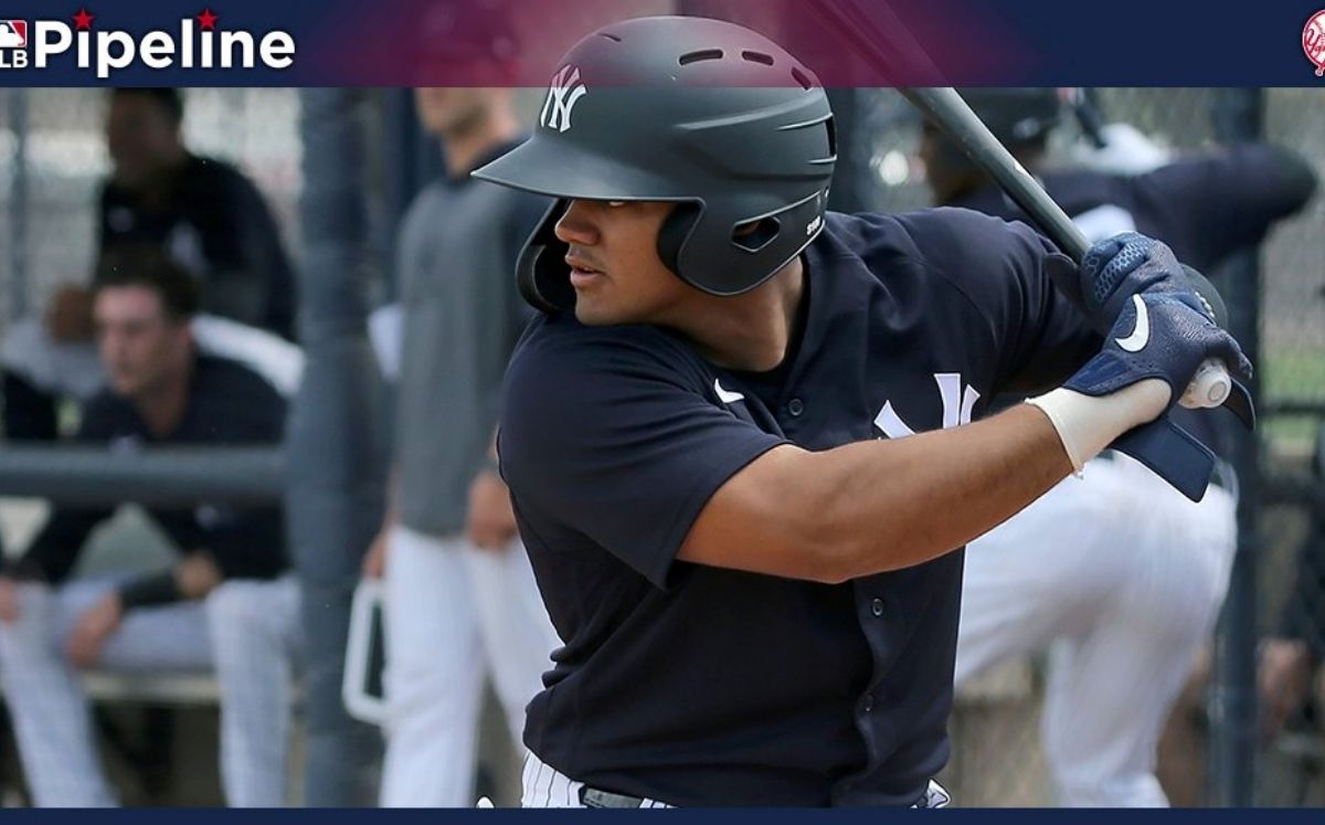 Jasson Domínguez perdió su primera temporada como profesional por la pandemia. (Foto: @MLBpipeline)