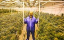 Tyson tiene en su empresa de cultivo de cannabis. (Foto: Instagram @tysonranchofficial)