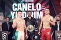 Canelo Álvarez tiene todos los argumentos para vencer a Yildirim (Foto: Mexsport)