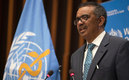 Tedros Adhanom Ghebreyesus, director de la OMS. (Foto: AFP)