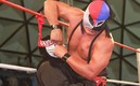 Fuerza Guerrera y Octagón hicieron una gran rivalidad.
