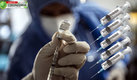 La vacuna BioNTech-Pfizer es la más distribuida contra la COVID en el mundo. (AFP)
