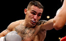 El británico fue recordado por el Consejo Mundial de Boxeo (Cortesía Twitter @BoxingNewsED)