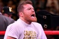 Canelo Álvarez despierta la admiración de miles de personas gracias a sus logros (Foto: Imago7)