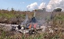 Este fue el lugar donde la avioneta se impactó sin dejar sobrevivientes. Foto: Diario Clarín