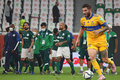 Tigres derrotó a Palmeiras, actual Campeón de Copa Libertadores (Imago7)