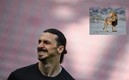 Zlatan Ibrahimovic habría ido de cacería en 2011. Foto: AFP