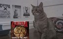 El felino es la sensación en le mundo del heavy metal.