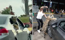 El tigre habría sido paseado el jueves de Semana Santa. (FOTO: captura/xKelseyG)