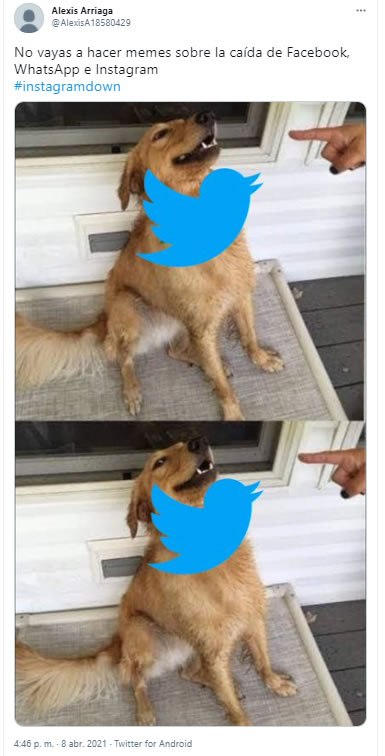 Memes de la caída de Facebook e Instagram; Twitter domina el mundo