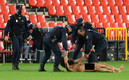 La persona pasó 14 horas bajo una lona para no ser visto por la policía. (FOTO: AFP)