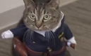 La gatita hasta recibió un uniforme de policía. (Foto: captura de pantalla)
