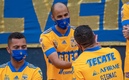 Guido Pizarro renovaría contrato con Tigres. (Foto: Mexsport)