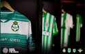 Amor verde y blanco es el nombre de la alianza de los 4 clubes