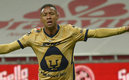 ¿Pumas? o la música... Kalimba pudo haber sido felino. (Imago 7)
