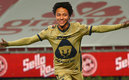 ¿Pumas? o la música... Kalimba pudo haber sido felino. (Imago 7)