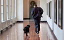 Barack Obama junto a Bo. Foto: Twitter Barack Obama