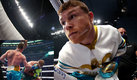 Canelo Álvarez llegó a 56 victorias como profesional. (AFP)