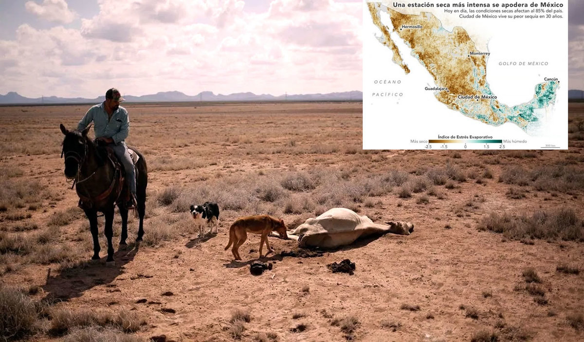 La sequía en México afecta principalmente a la región norte y central. (Google)