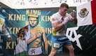 Canelo Álvarez solamente ha perdido una pelea como profesional. (Imago7)