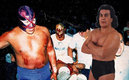 El Perro Aguayo estuvo cerca de morir el 3 de mayo de 1987.